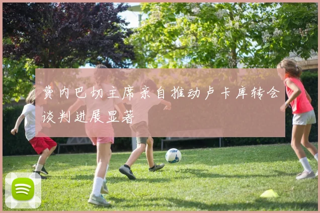 费内巴切主席亲自推动卢卡库转会谈判进展显著