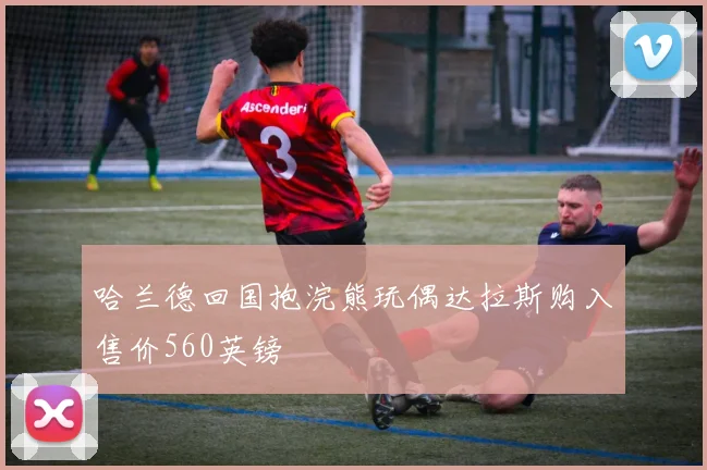 哈兰德回国抱浣熊玩偶达拉斯购入售价560英镑